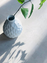 Afbeelding in Gallery-weergave laden, Cherimoya vaasje