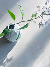 Afbeelding in Gallery-weergave laden, Cherimoya vaasje