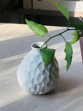 Afbeelding in Gallery-weergave laden, Cherimoya vaasje