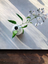 Afbeelding in Gallery-weergave laden, Cherimoya vaasje