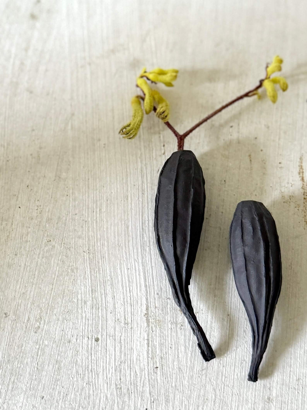 Luffa Wandvaasjes Zwart