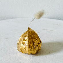 Afbeelding in Gallery-weergave laden, Vaasje Lampion Goud
